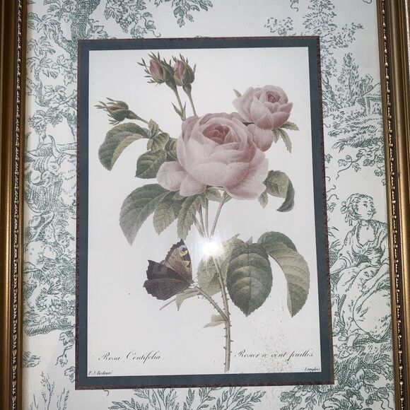 Framed Redouté Dual Still Watercolor Rose Artwork Print - Width 9” x Height 21” - Picture 3 of 6